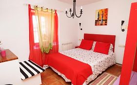 Casa Gatos